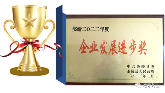 泰陽藥業(yè)榮獲“企業(yè)發(fā)展進(jìn)步獎”