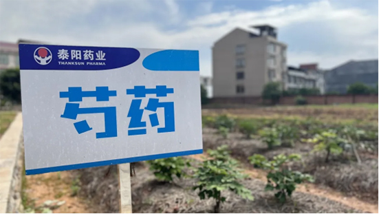 泰陽藥業(yè)