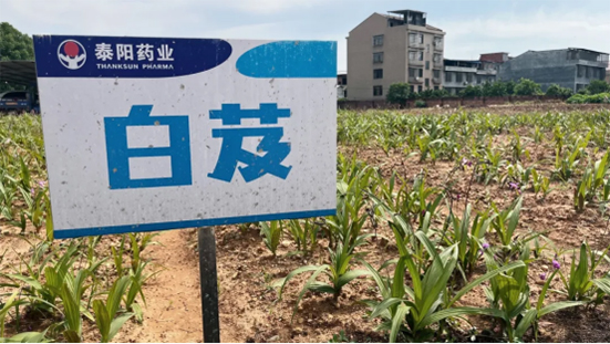 泰陽藥業(yè)